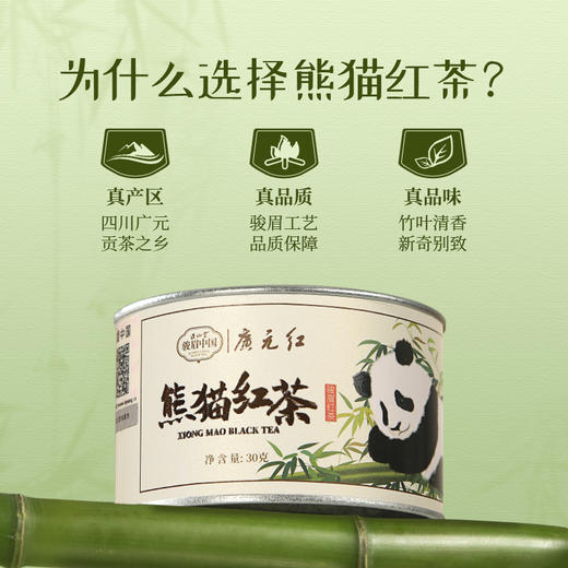 正山堂广元红 熊猫红茶骏眉中国四川特级红茶茶叶正宗罐装30g 商品图1