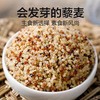 科百佳红白藜麦500g（KBJ）（仅限福建省内配送，满400元包邮） 商品缩略图3