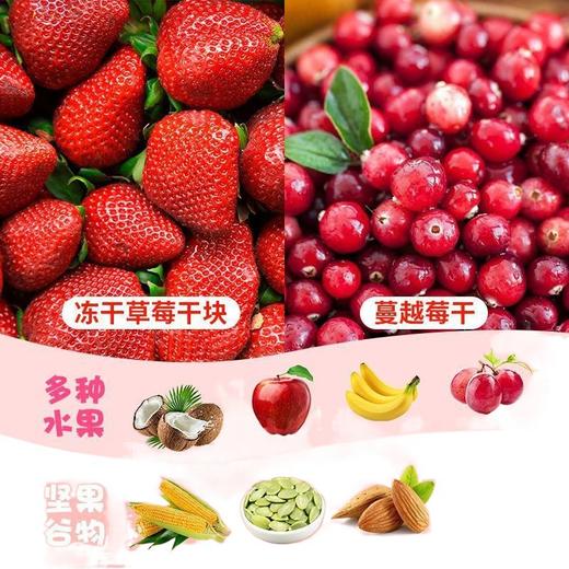 【可以懒着吃的水果麦片】奇亚籽酸奶果粒麦片坚果水果燕麦片，奇亚籽蕴含强大能量，烘焙即食学生网红代餐早餐食品QQ 商品图4