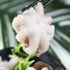 弹指鲜生三去冷冻八爪鱼500g*3袋 商品缩略图3