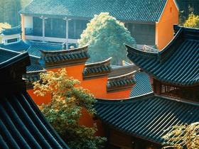 氧气旅行团—禅意疗愈之旅