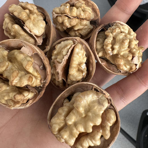 西域美农 新疆纸皮核桃3斤箱装 皮薄易剥 出仁率高。 商品图1