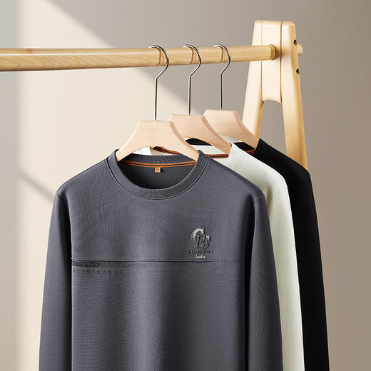 【新款DDP】大依优型大码卫衣长袖休闲加肥加大男士胖子大码内搭上衣打底显瘦 商品图7