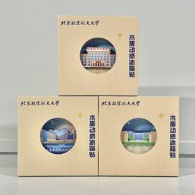 木质动感冰箱贴