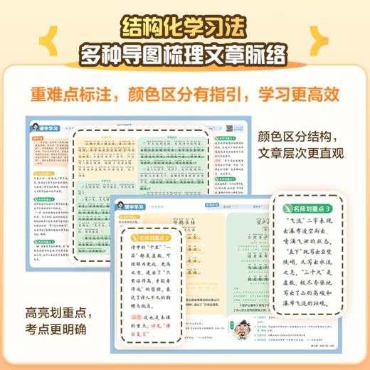 小学语文课堂笔记--名师划重点 商品图1