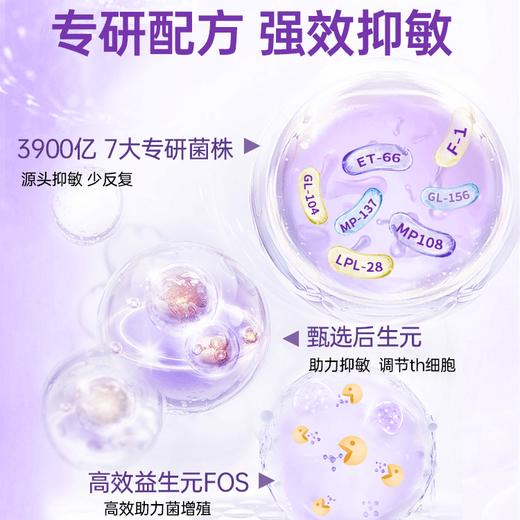 【保税】英国Sun Seasons兰骑士好鼻子益生菌调理换季过敏舒鼻抵抗免疫力 商品图2