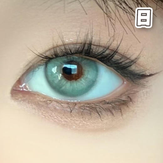 Apex#green 莱琳青灰 绿灰色 14.2mm 基弧8.7【10片装】进口日抛 商品图1