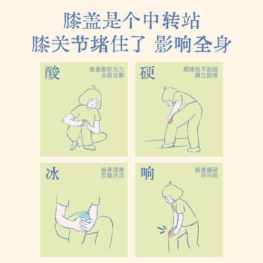 【真不二】吴茱萸系列新品杜仲膝盖贴（4片/盒） 商品图2