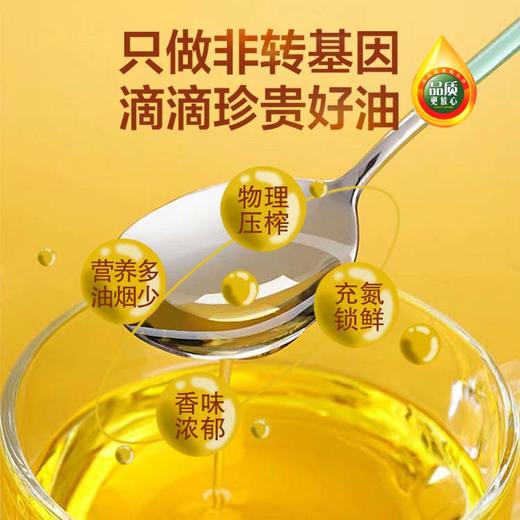 西夏至臻双优食用植物调和油(玉米亚麻籽油)1.8L（KBJ）（仅限福建省内配送，满400元包邮） 商品图3