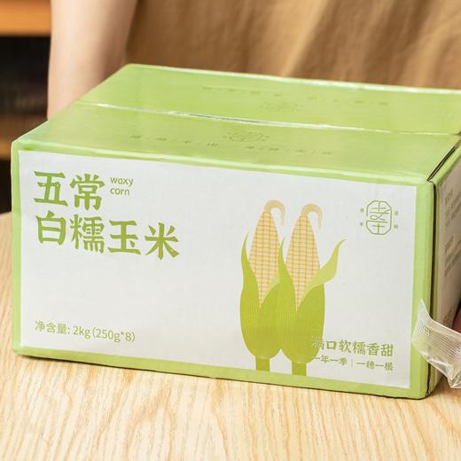 菜菜家五常白糯玉米|秋收第一茬！皮嫩到爆浆，香甜糯叽叽 商品图7