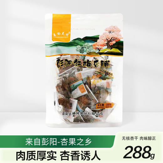 亲彭昊优红梅杏脯288g（KBJ）（仅限福建省内配送，满400元包邮） 商品图0