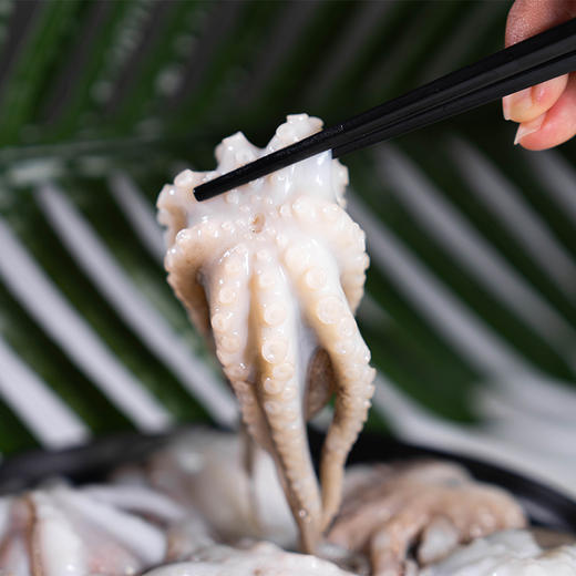 弹指鲜生三去冷冻八爪鱼500g*3袋 商品图2