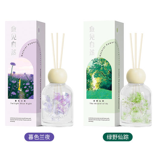 怡妮诗暮色兰夜-绿野仙踪-无火藤条香氛120ml(240637-240638) 商品图1