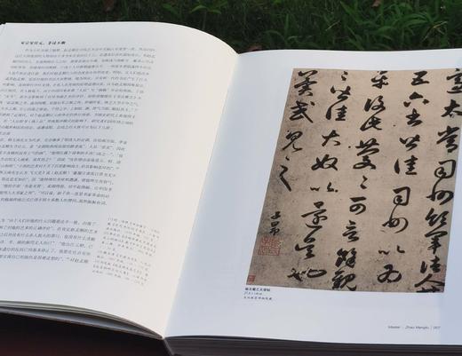 《艺术巨匠：赵孟頫》，8开，软精装，李舒编著，颂雅风文化公司出品，河北教育出版社2011年一版一印，223页，定价138元，售价88 商品图4