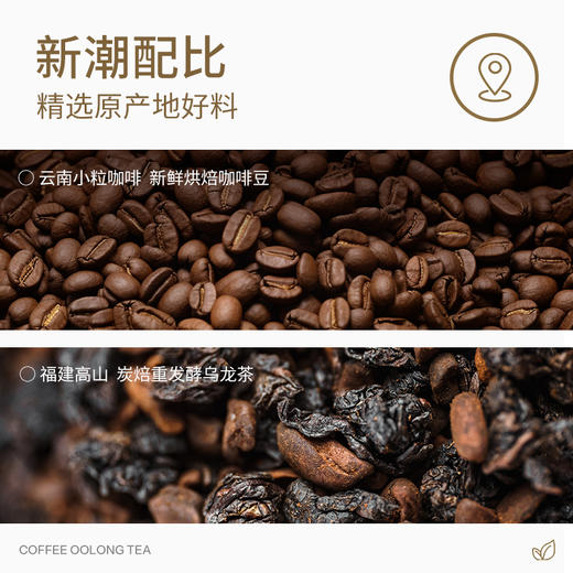 优选丨【秋冬】茶叶 咖啡乌龙 乌龙茶 新风味 茶饮  五虎 100g 商品图3