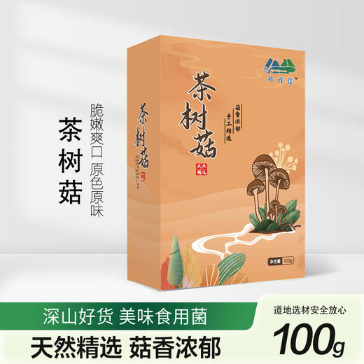 科百佳茶树菇100g（KBJ）（仅限福建省内配送，满400元包邮） 商品图0
