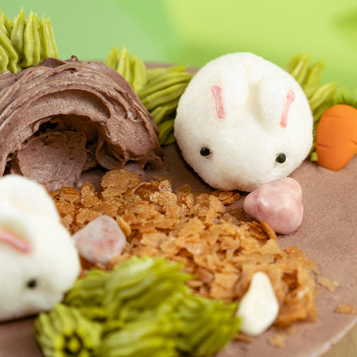 【森林兔宝宝】鲜果巧克力奥利奥 商品图1