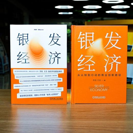 官网 银发经济 从认知到行动的商业创新路径 李佳 王岳 银发经济 老龄化 养老 商业模式 商业创新 战略管理 企业经营管理学书籍 商品图2