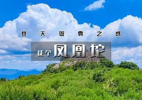 【凤凰坨】摘野生猕猴桃の登天驾雾之感-杏树台-凤凰坨11公里穿越<初级>
