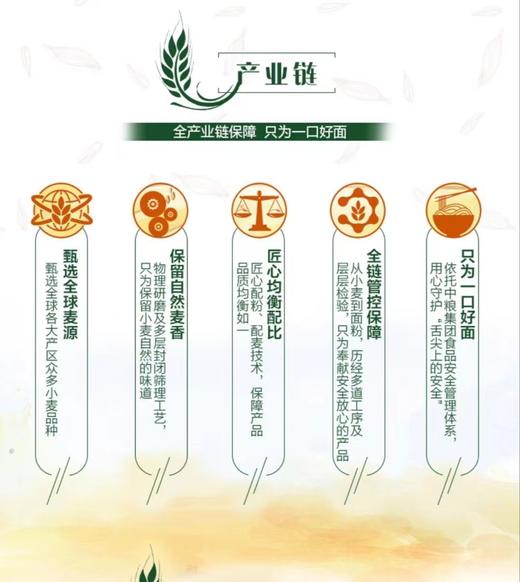 【中粮】福临门巴盟优选蒙香瑞雪小麦粉5kg 商品图4