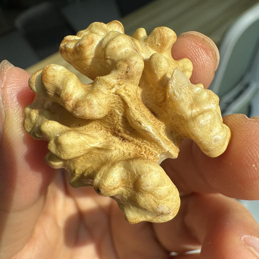 西域美农 新疆纸皮核桃3斤箱装 皮薄易剥 出仁率高。 商品图4