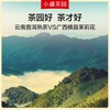 小罐茶园茶叶乌金飘雪 广西茉莉花云南熟普茶 滇红16袋礼盒装 茶叶自己喝 4g*16袋 商品缩略图1