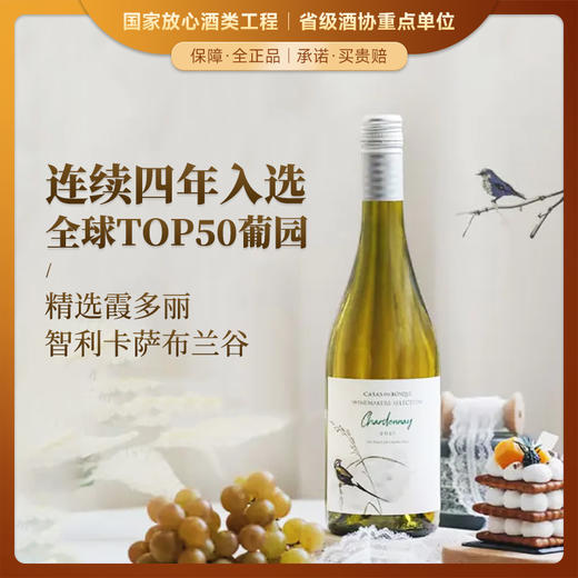 【连续4年全球TOP50葡萄园】卡萨博斯克精选霞多丽干白葡萄酒 智利原瓶进口 13%vol 商品图0