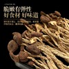 科百佳茶树菇100g（KBJ）（仅限福建省内配送，满400元包邮） 商品缩略图4