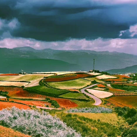 【最佳时节】12.25周四/12.28周日东川徒步赏满山红叶 | 闯入满山红叶秘境/行摄东川红土地/吃云南特色杀猪饭，看大自然的调色盘！ 商品图13