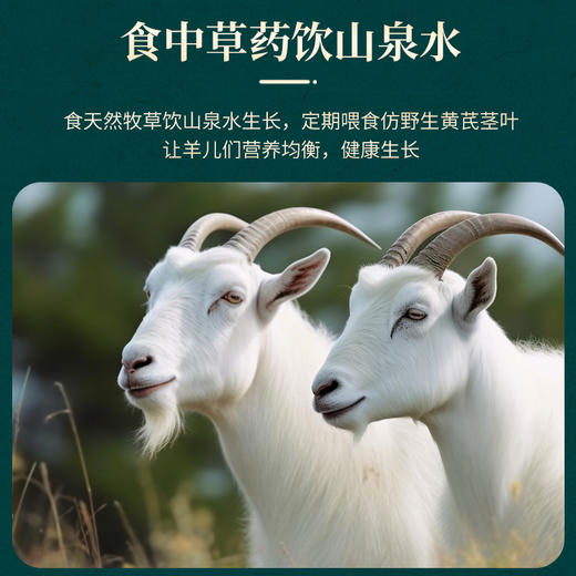 内蒙古草原黄芪羊自然放养不育肥新鲜现宰高档礼盒 商品图4