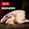 沟帮子尹家熏鸡 散养大公鸡900g 东北特产卤味熟食 中华老字号 商品缩略图5