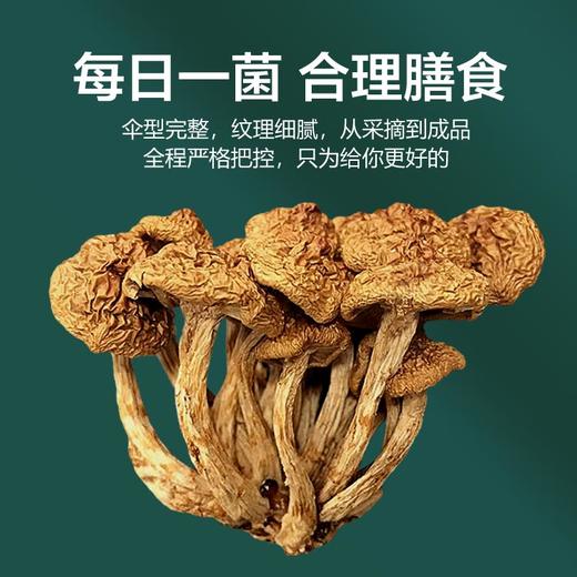 科百佳滑子菇100g（KBJ）（仅限福建省内配送，满400元包邮） 商品图3