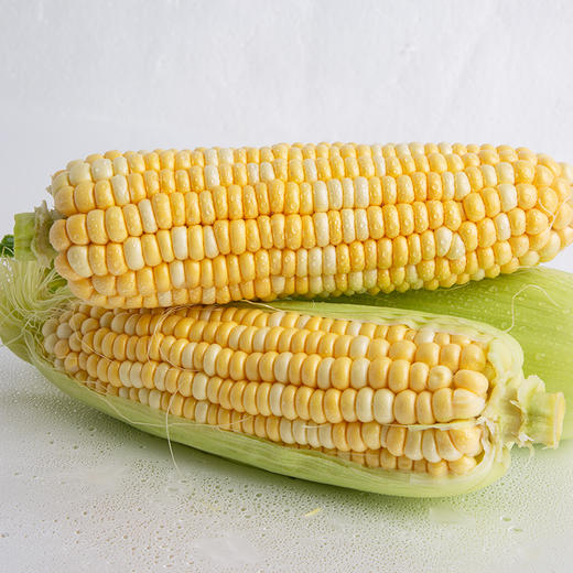 【杨博士】云南金银水果玉米 商品图1