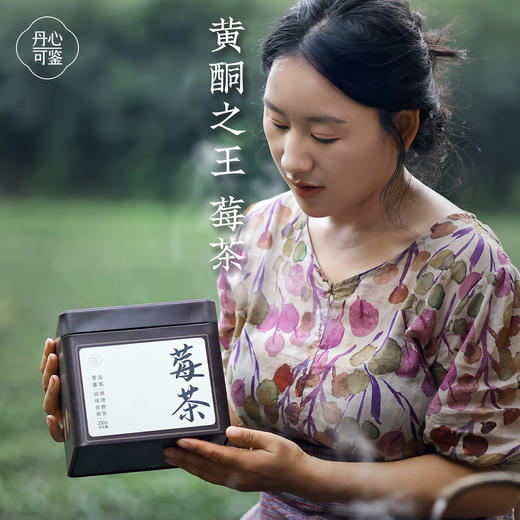 丹心可鉴张家界芽尖莓茶250一罐 商品图0
