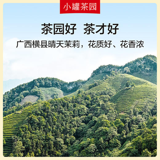 【新品！】小罐茶园金标系列茉莉花茶升级版单罐自饮实惠装100g 商品图1