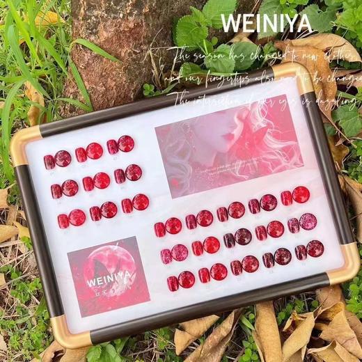 24色安可拉红 商品图0