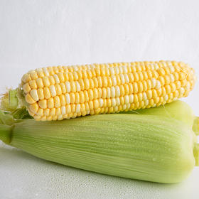 【杨博士】云南金银水果玉米