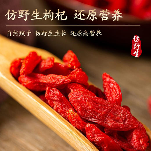 零化仿野生枸杞冻干枸杞精品大颗粒泡水营养泡茶新货 商品图2