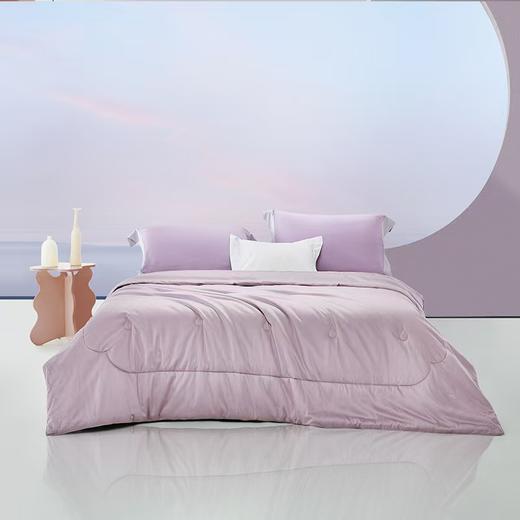 【6F】罗莱 尚 天长地久桑蚕丝四季被 商品图0