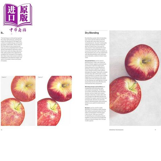 【中商原版】Paper Folding Learn In A Weekend 进口艺术 初学者折纸指南 "周末学习 "系列 商品图3