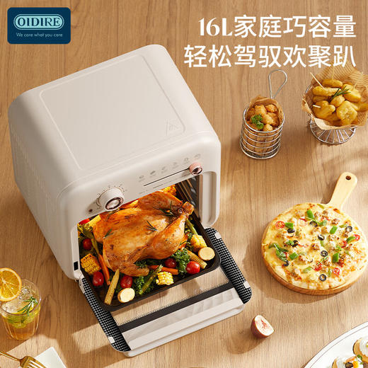 德国OIDIRE空气炸烤箱  ODI-KX1【ZXZQ4.0】 商品图6