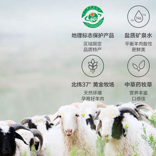 盐池滩羊礼盒1398型【ZXZQ6.4】 商品图1