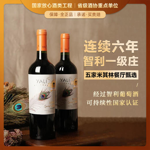 【连续六年智利一级庄】安第斯之翼 佳美娜红葡萄酒 智利中央山谷 商品图0
