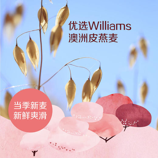 中粮悠采 果蔬燕麦片600g（盒装30g*20小袋）冲调谷物 即食 新老包装随机发货 商品图6