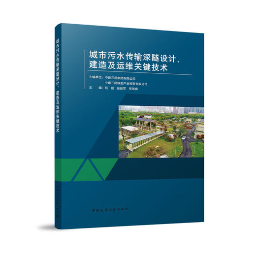 城市污水传输深隧设计、建造及运维关键技术 商品图0