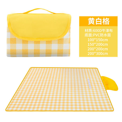 野餐垫防潮垫加厚户外野炊沙滩地垫春游坐垫防水草坪垫子 商品图5