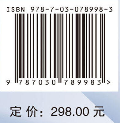 大数据管理决策——全景式PAGE框架与前沿研究 商品图2