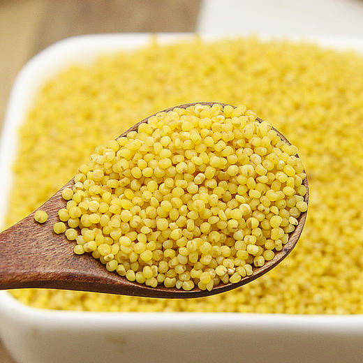 闽宁故事精选小米2.5kg（KBJ）（仅限福建省内配送，满400元包邮） 商品图2