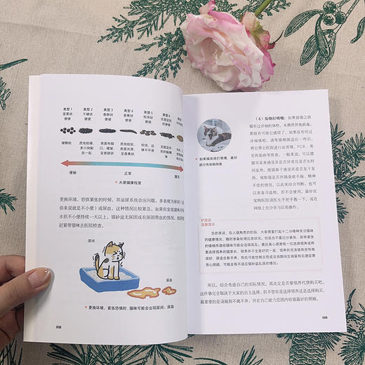 猫咪全阶段科学养护指南 商品图4