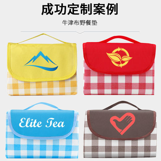 野餐垫防潮垫加厚户外野炊沙滩地垫春游坐垫防水草坪垫子 商品图1